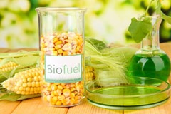 Ewyas Harold biofuel availability